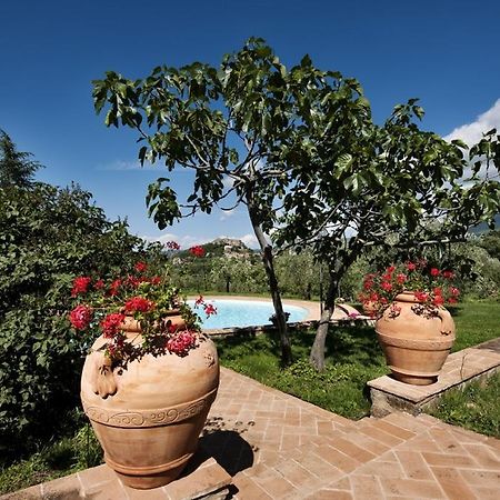 La Dragona Apartment Castel del Piano  Luaran gambar